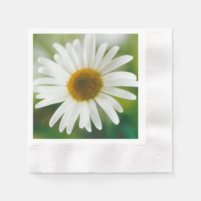 White Oxeye Daisy - Leucanthemum vulgare  Napkins (Front)