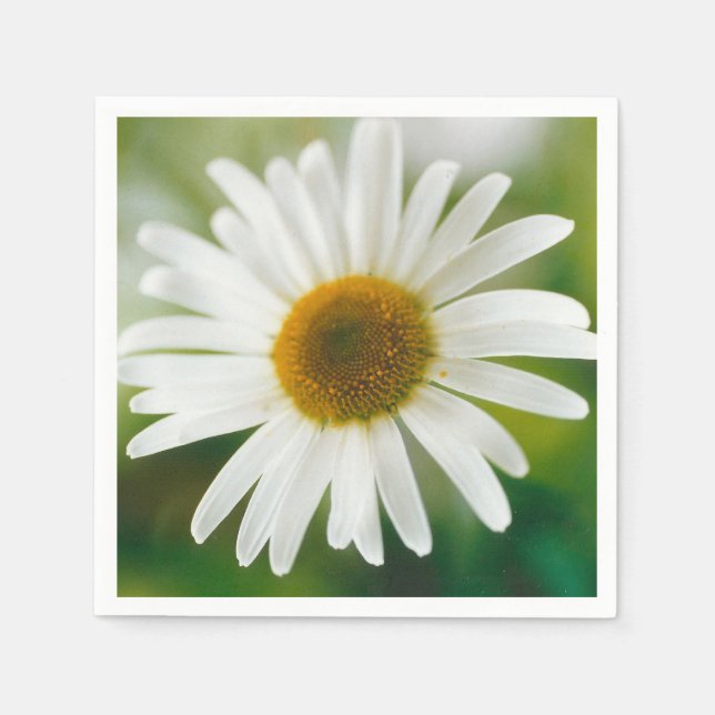 White Oxeye Daisy - Leucanthemum vulgare   Napkins (Front)