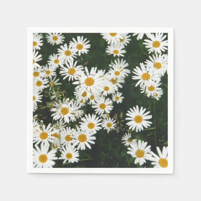 White Oxeye Daisy Meadow Napkins (Front)