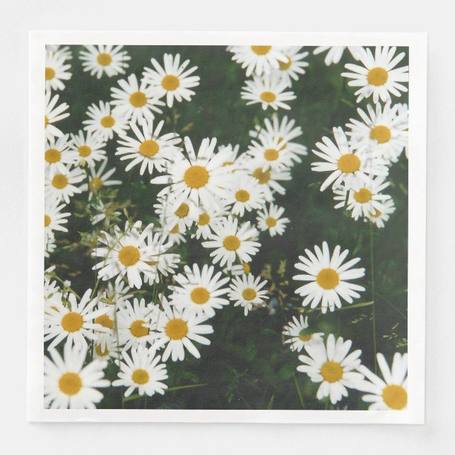 White Oxeye Daisy Meadow Paper Dinner Napkins (Front)