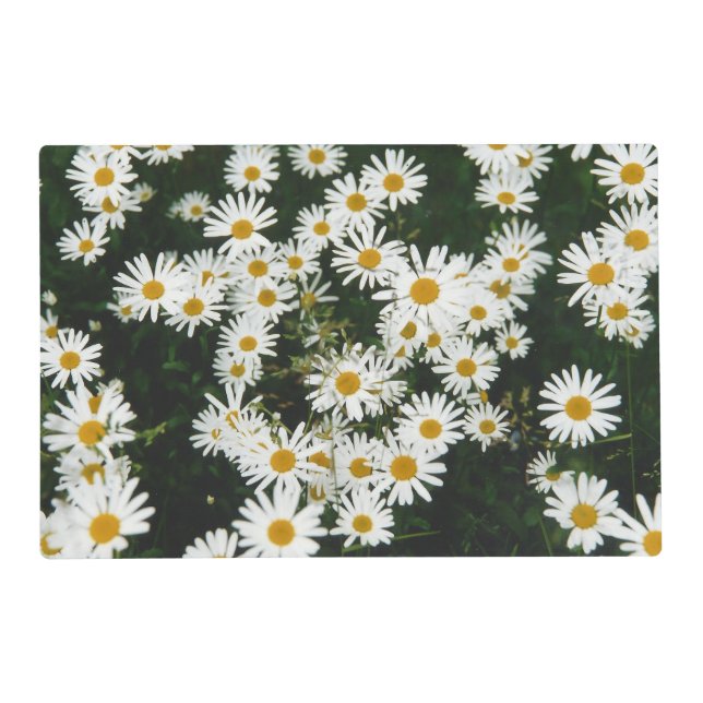 White Oxeye Daisy Meadow Placemat (Front)