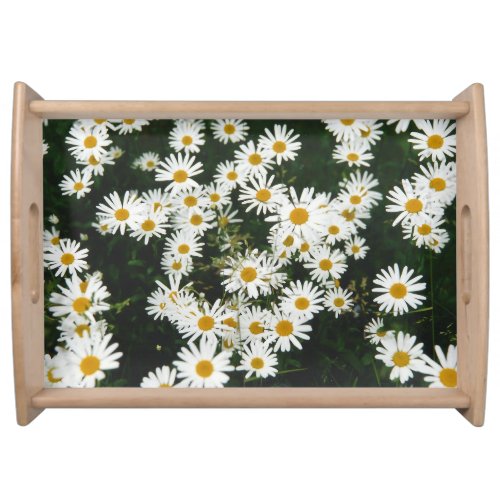 White Oxeye Daisy Meadow Serving Tray