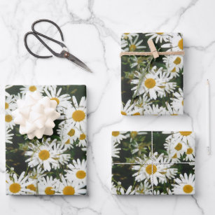 White Oxeye Daisy Meadow Wrapping Paper Sheets