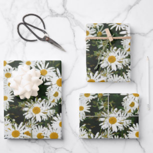 White Oxeye Daisy Meadow Wrapping Paper Sheets