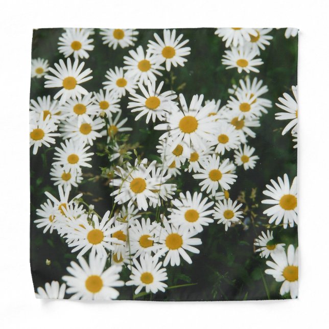 White Oxeye Daisy, Moon Daisy Meadow Bandana (Front)