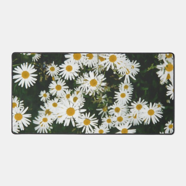 White Oxeye Daisy, Moon Daisy Meadow Desk Mat (Front)
