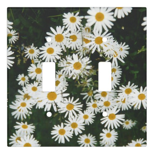 White Oxeye Daisy Moon Daisy Meadow Light Switch Cover