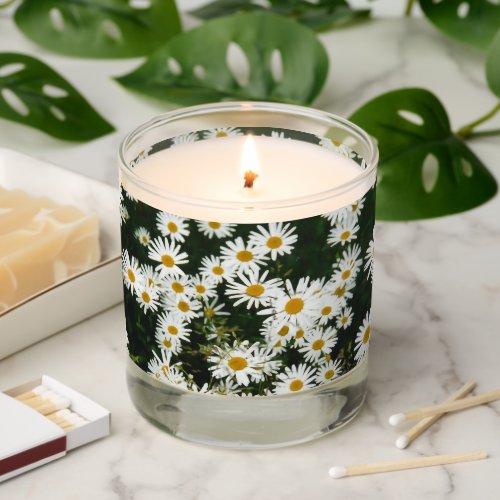 White Oxeye Daisy Moon Daisy Meadow Scented Candle