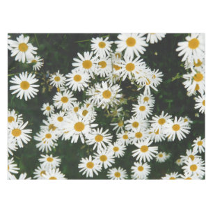 White Oxeye Daisy, Moon Daisy Meadow Tablecloth