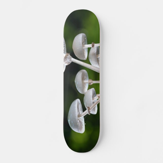 White Oyster Autumn Mushrooms Skateboard (Front)