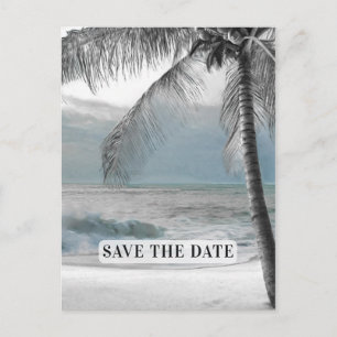 White Palm Coconut Tree Elegant Chic Save the Date Announcement Postcard