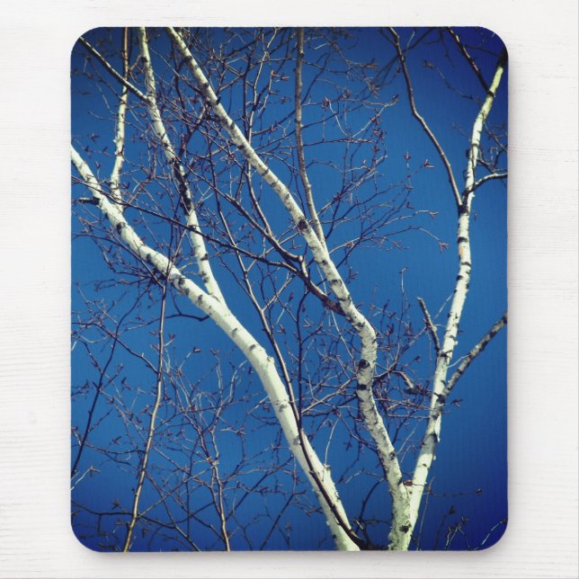 White Paper Birch Tree Blue Sky Nature  Mouse Pad (Front)