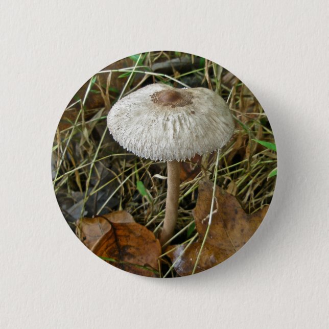 White Parasol Mushroom Coordinating Items Pinback Button (Front)