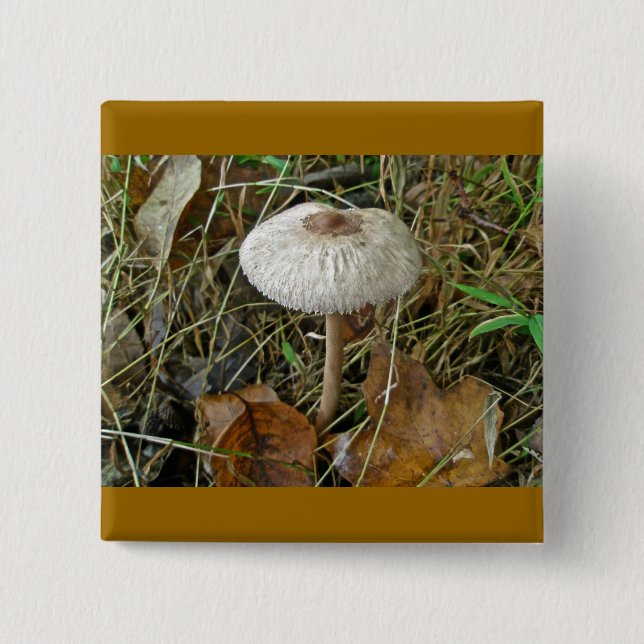 White Parasol Mushroom Magnet Pinback Button (Front)