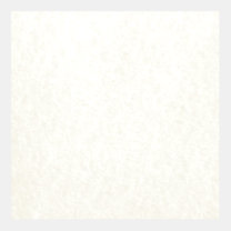 White Parchment Paper Texture