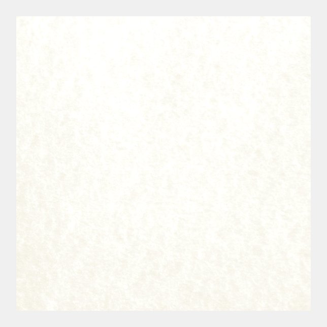 White Parchment Paper Texture (Front)