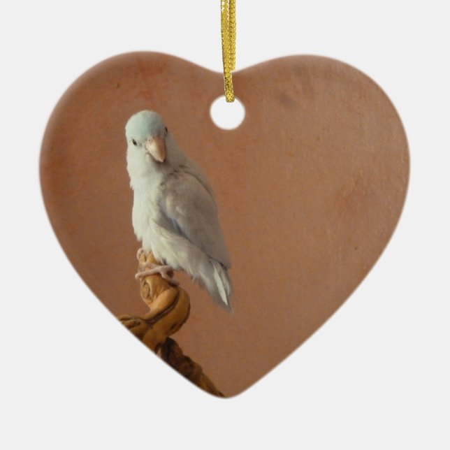 White Parrotlet Ceramic Ornament (Front)