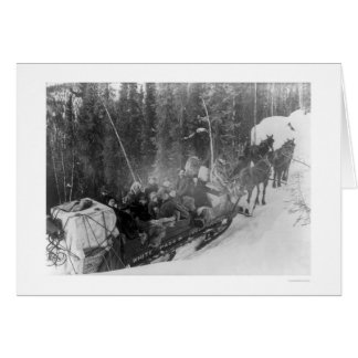 White Pass Alaska Sled Train 1903 Cards