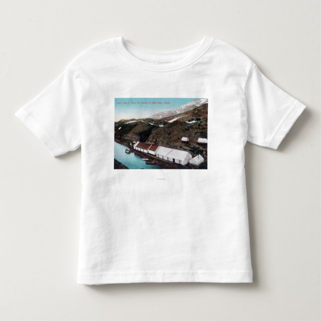 White Pass & Yukon Railroad Train Toddler T-shirt (Front)