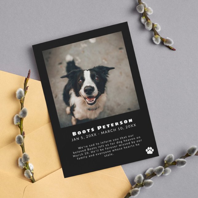 White Pawprint Pet Loss Photo Announcement (Creator Uploaded)