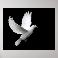 peace dove flying