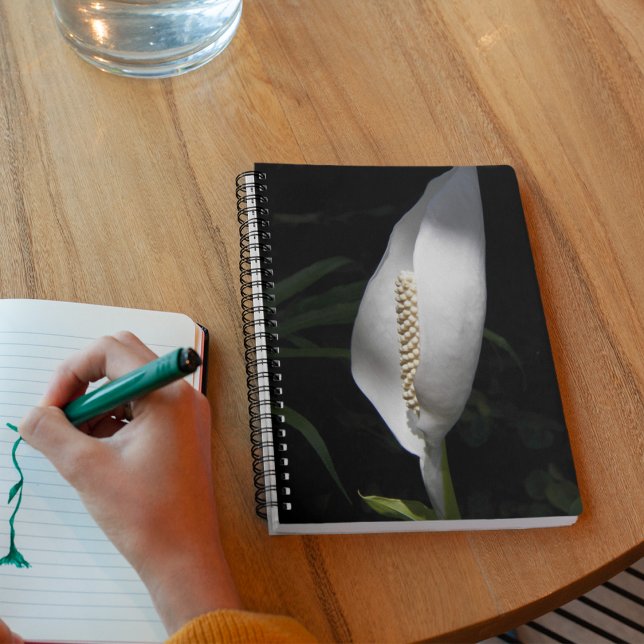 White Peace Lily Bloom Floral Notebook (In Situ)