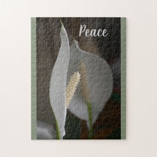 White Peace Lily Botanical Floral Photographic