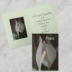White Peace Lily Botanical Floral Sympathy Card