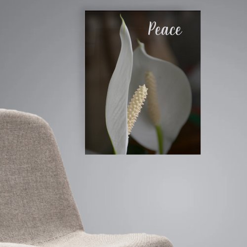 White Peace Lily Floral Beautiful Photographic Acrylic Print