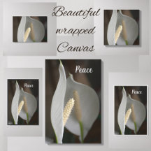 White Peace Lily Floral Fine Art Photograph