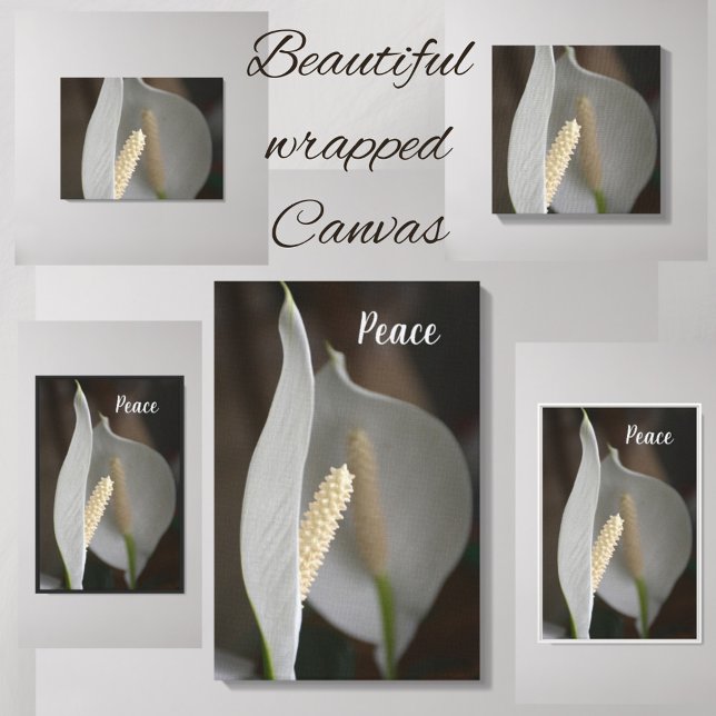 White Peace Lily Floral Fine Art Photograph Canvas Print (Creator Uploaded)
