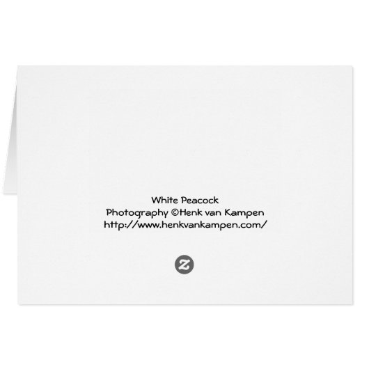 White Peacock (Back Horizontal)