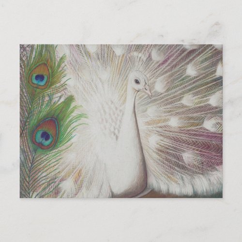 White Peacock and Green Peacock Feather art Print Postcard