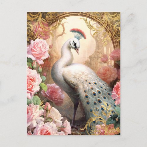 White Peacock and Pink Roses Postcard