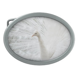 White Peacock beautiful feathers  Belt Buckle
