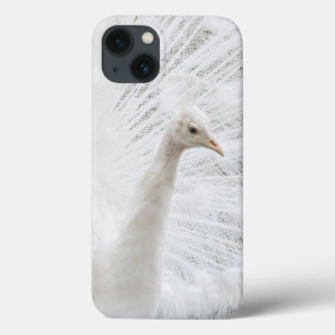 White Peacock beautiful feathers  iPhone 13 Case