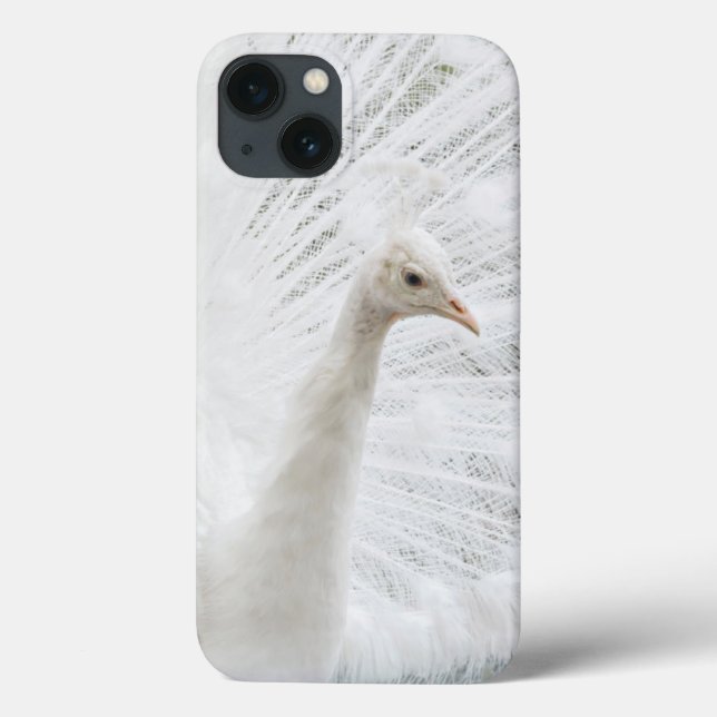 White Peacock beautiful feathers  Case-Mate iPhone Case (Back)