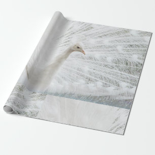White Peacock beautiful feathers Wrapping Paper