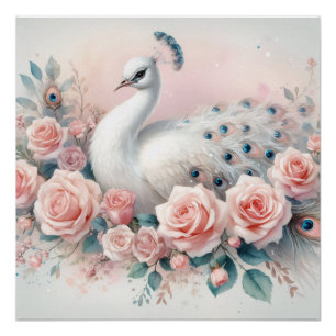 White Peacock Blush Pink Roses Decoupage Poster