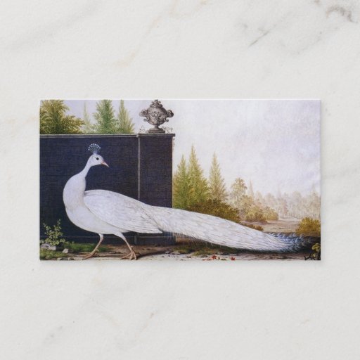 Customizable White Peacock Business Card Templates