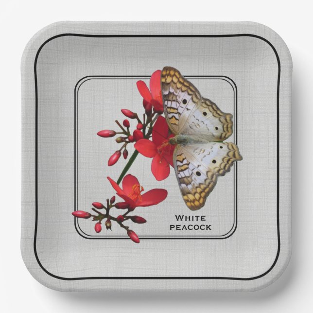 White Peacock Butterfly Close-up Photography Paper Plates (Front)