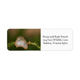 White peacock butterfly on leaves label