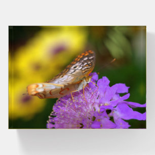 White peacock butterfly on purple bloom paperweight