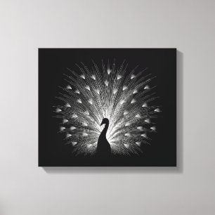 White peacock canvas print