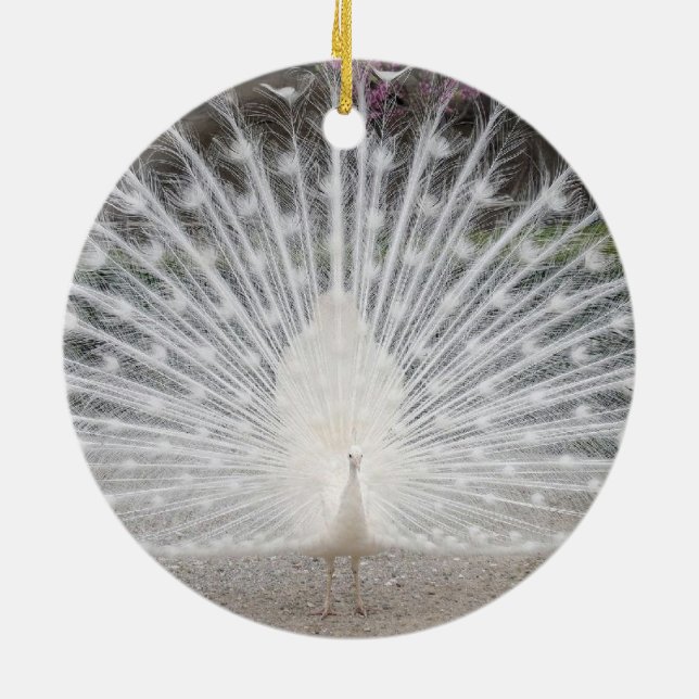 white peacock ceramic ornament (Back)