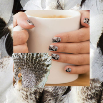 White Peacock Feathers  Minx Nail Art by CatsEyeViewGifts at Zazzle
