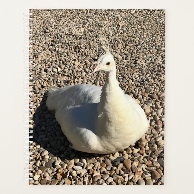 White Peacock, Idaho Planner (Front)