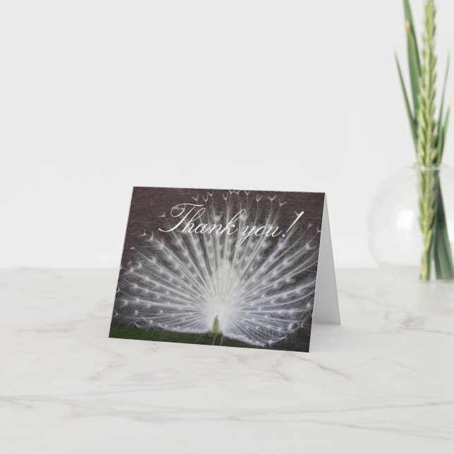 White Peacock Letterpress Thank You Card (Front)
