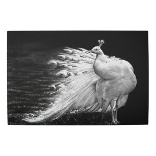 White Peacock Metal Wall Art