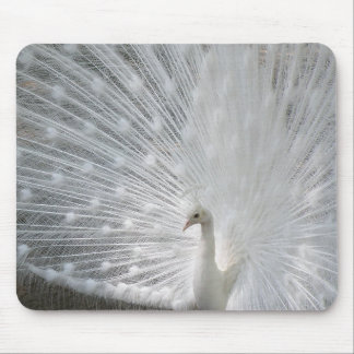 White Peacock Mouse Pad